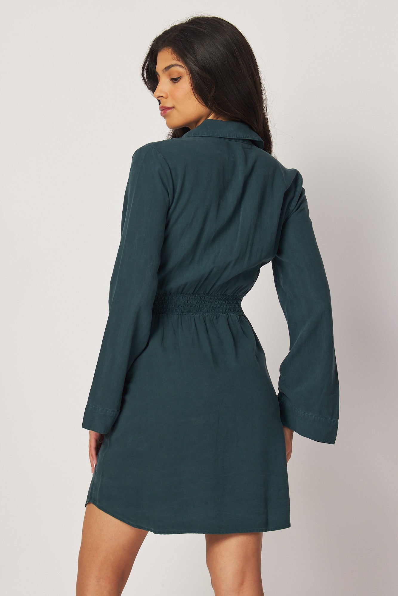 Mini Shirt Dress W/ Smocked Back - Jade Night