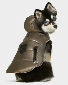 A small dog with black, white, and grey fur sits facing away, looking over its shoulder. The dog is wearing the Rudsak BUDDIE - 9122520 METALLIC CHOCOLATE puffer jacket with a hood and zippered pocket.