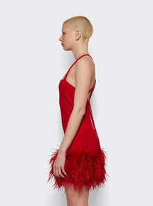 Women | The Attico | Fujiko Mini Dress | Red