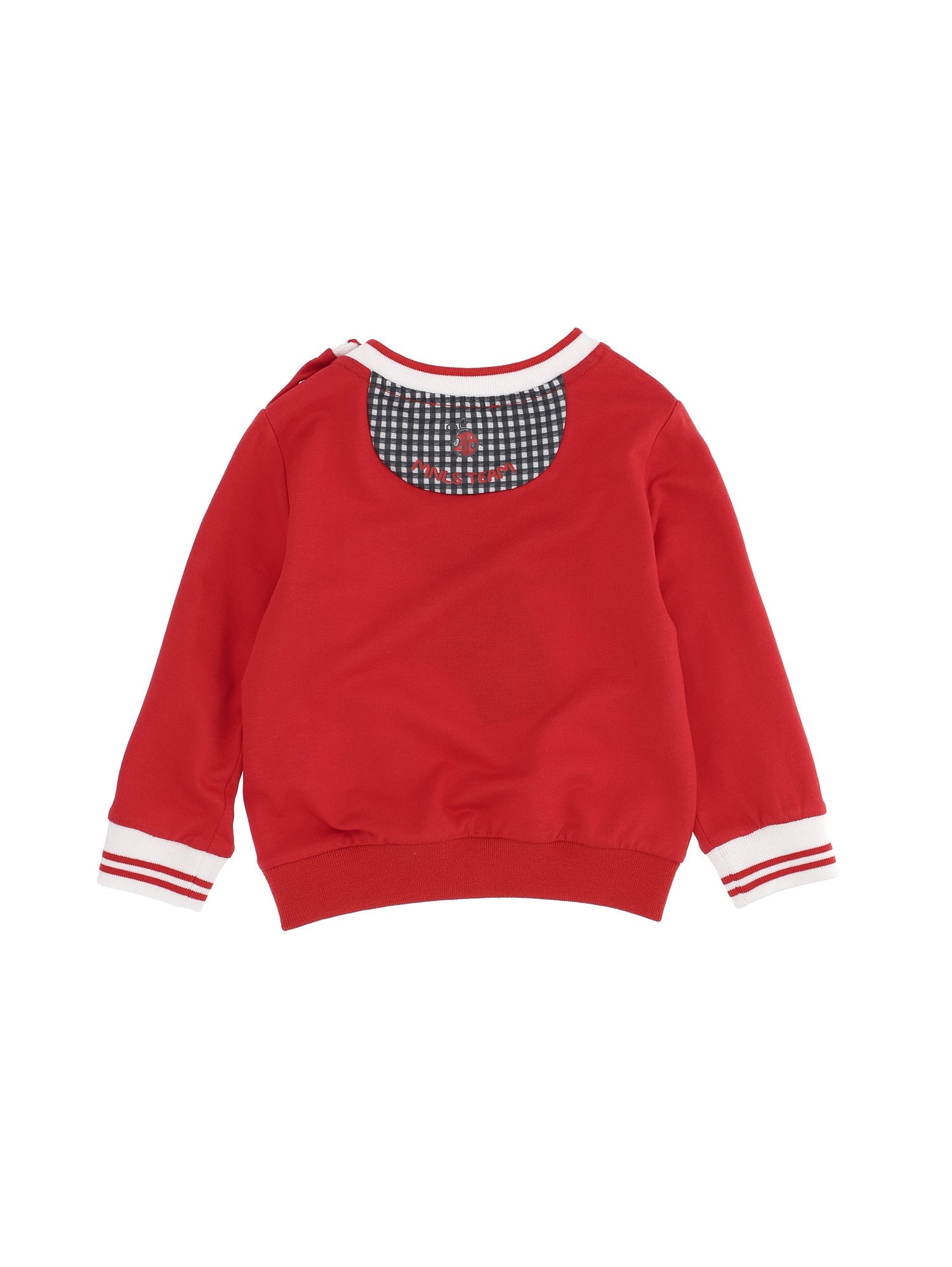 Boys | Gingham Sylvester Sweatshirt | Red/Black