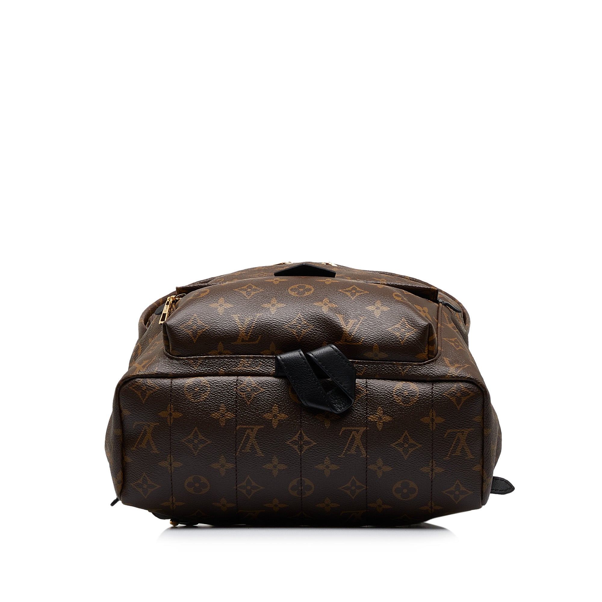 Louis Vuitton | Pre-Owned Monogram Palm Springs MM | Brown
