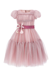 Girls | Whimsical Glitter Tulle Dress | Onion/Silver