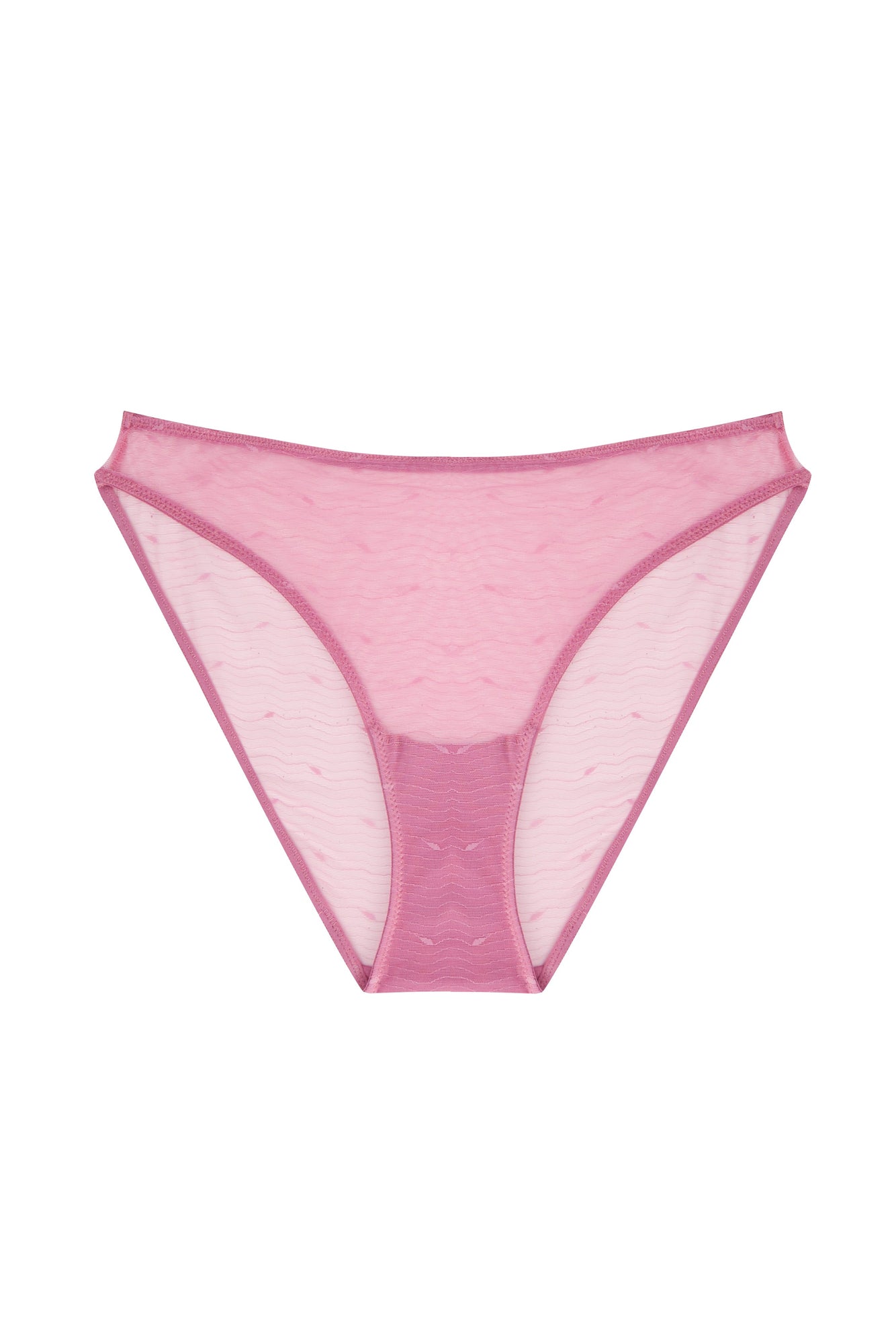 Kate Brief | Wild Rose