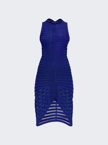Women | ALAÏA | Sheer 3d Skeleton Dress | Blue