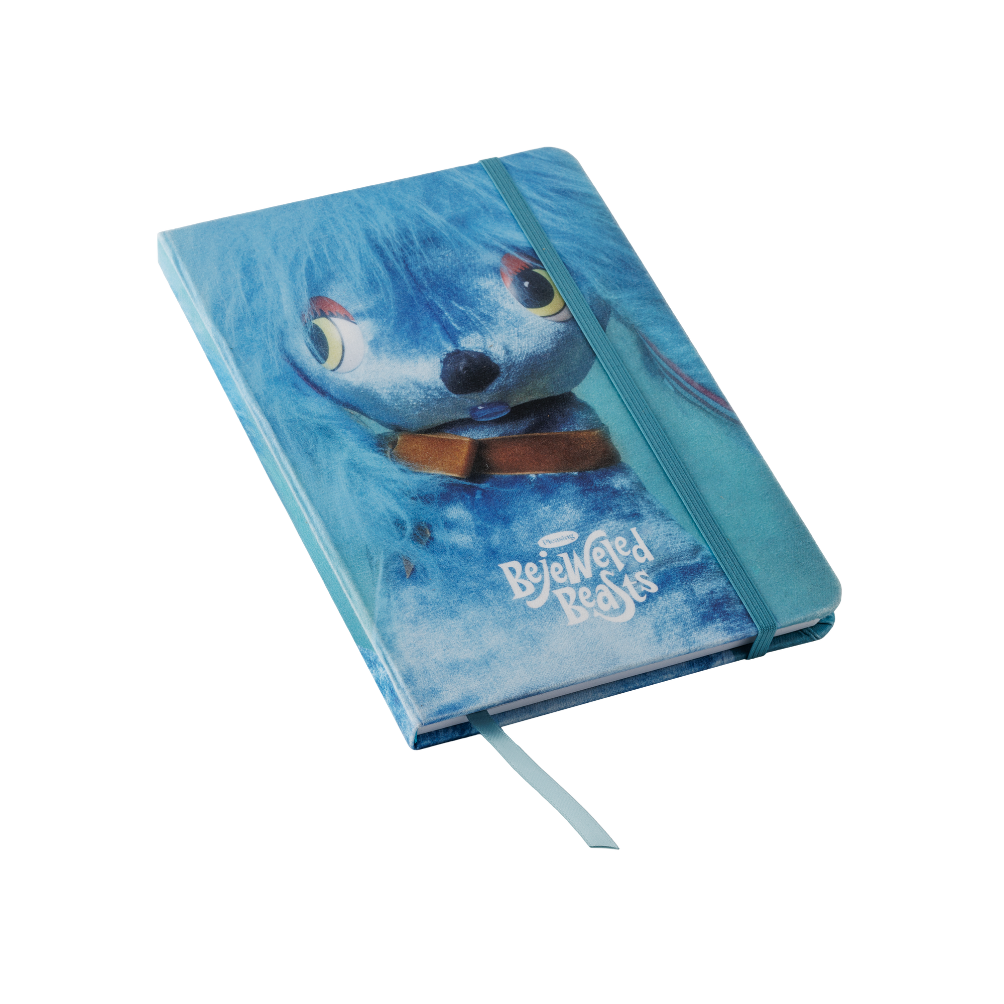 The Hi I'm Frosty Journal | Blue