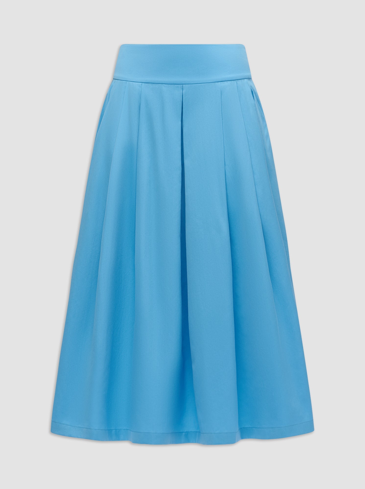 Consuela Pleated Full Skirt | Blue