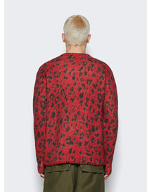 Dries Van Noten | Men | Morane Print Knitted Sweater | Pink