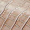 Rosy Taupe color swatch | Swatch | Exclude