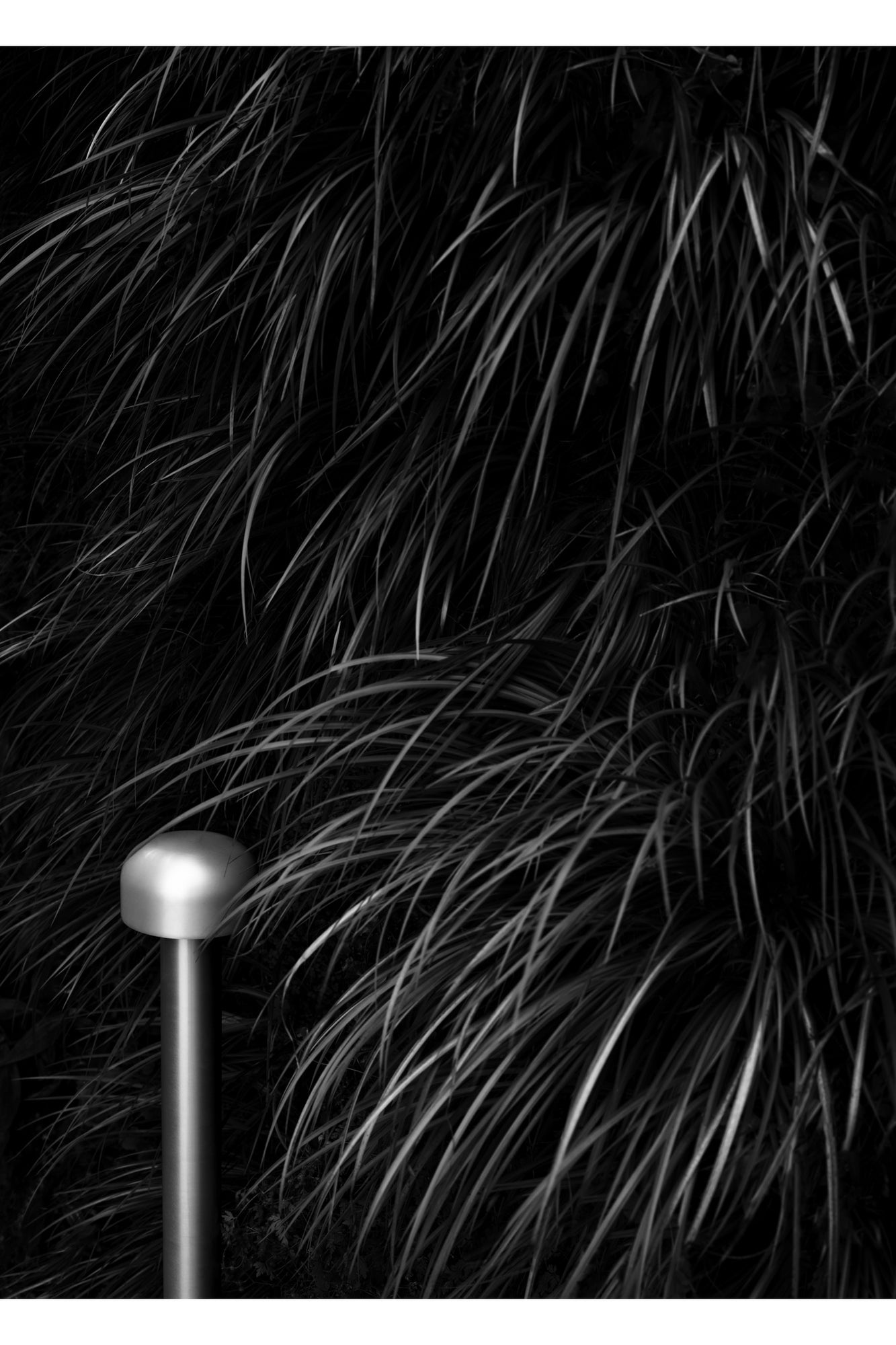 Bellhop Outdoor Bollard H33.4" 2700K | Stainless Steel