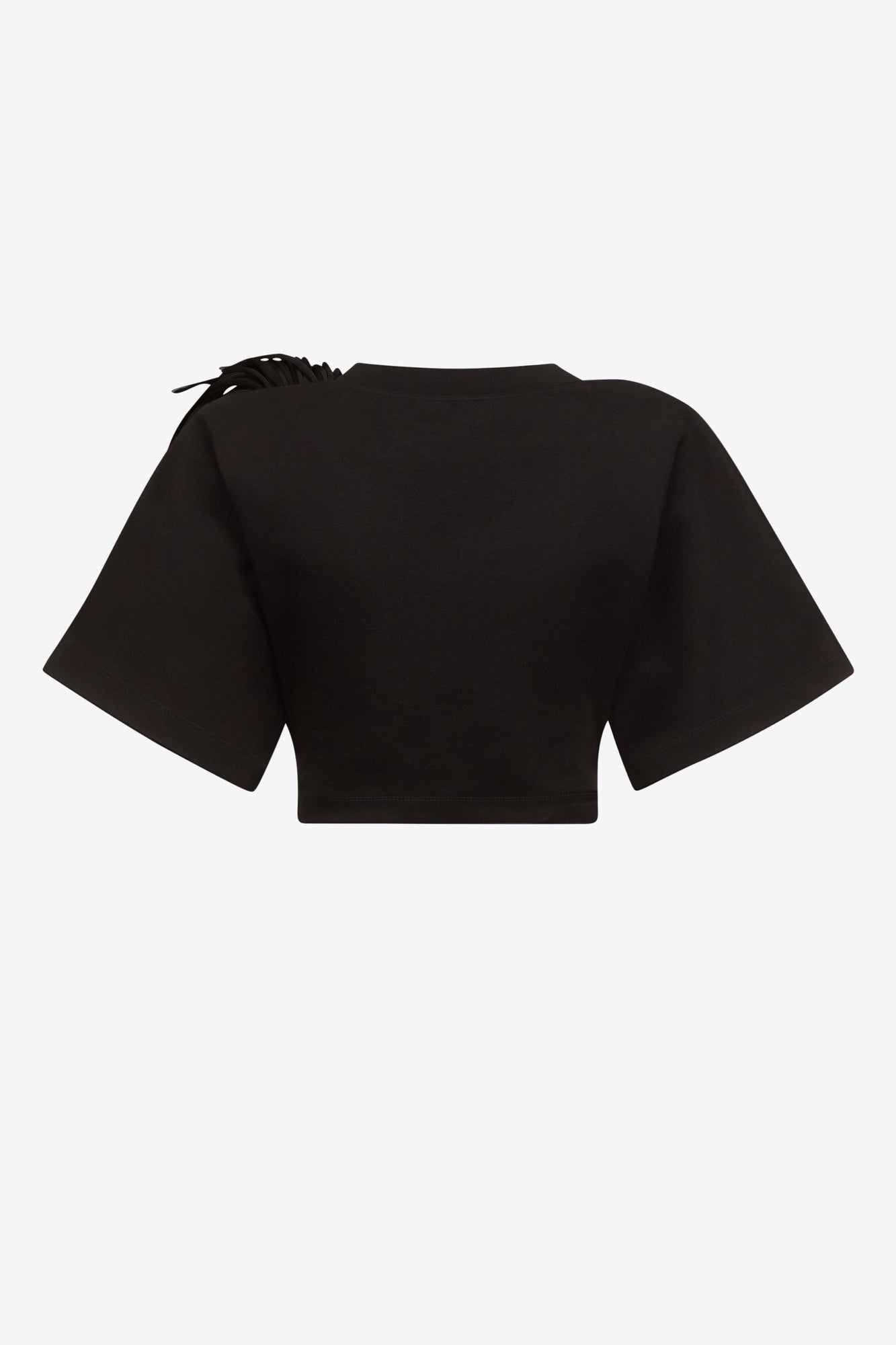 Fringe Brooch Cropped T-Shirt | Black