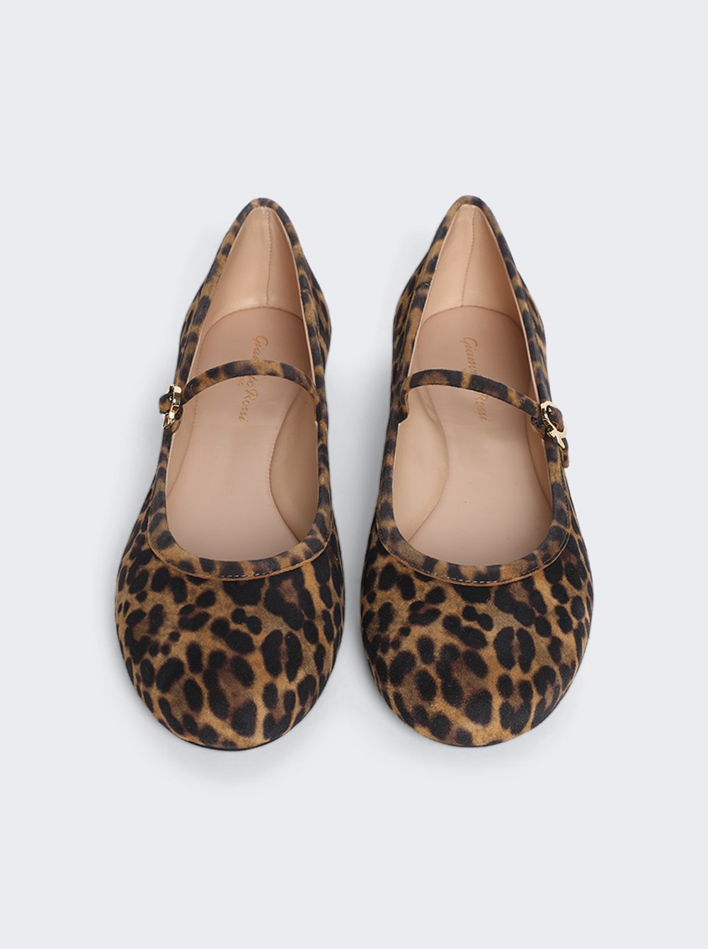 Women | Gianvito Rossi | Carla Camoscio Flat | Almond Leopard Print