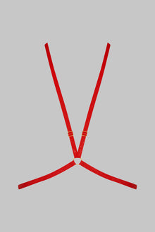 Harness - Signature | Black
