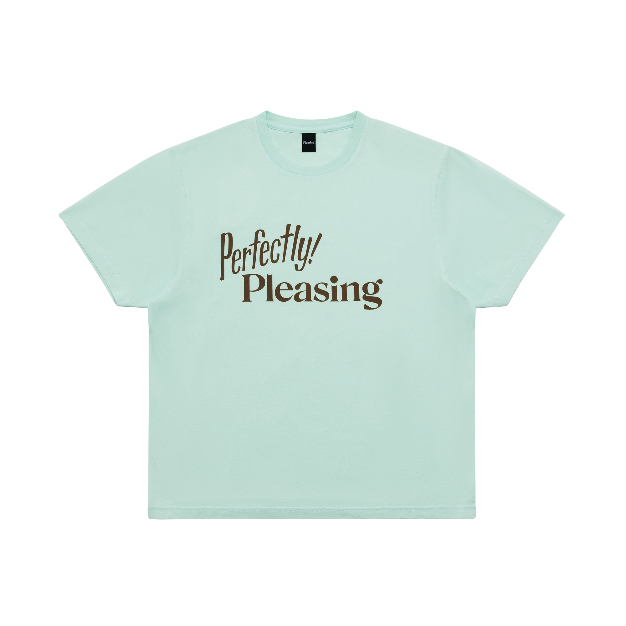 The Perfectly Pleasing Tee | Mint