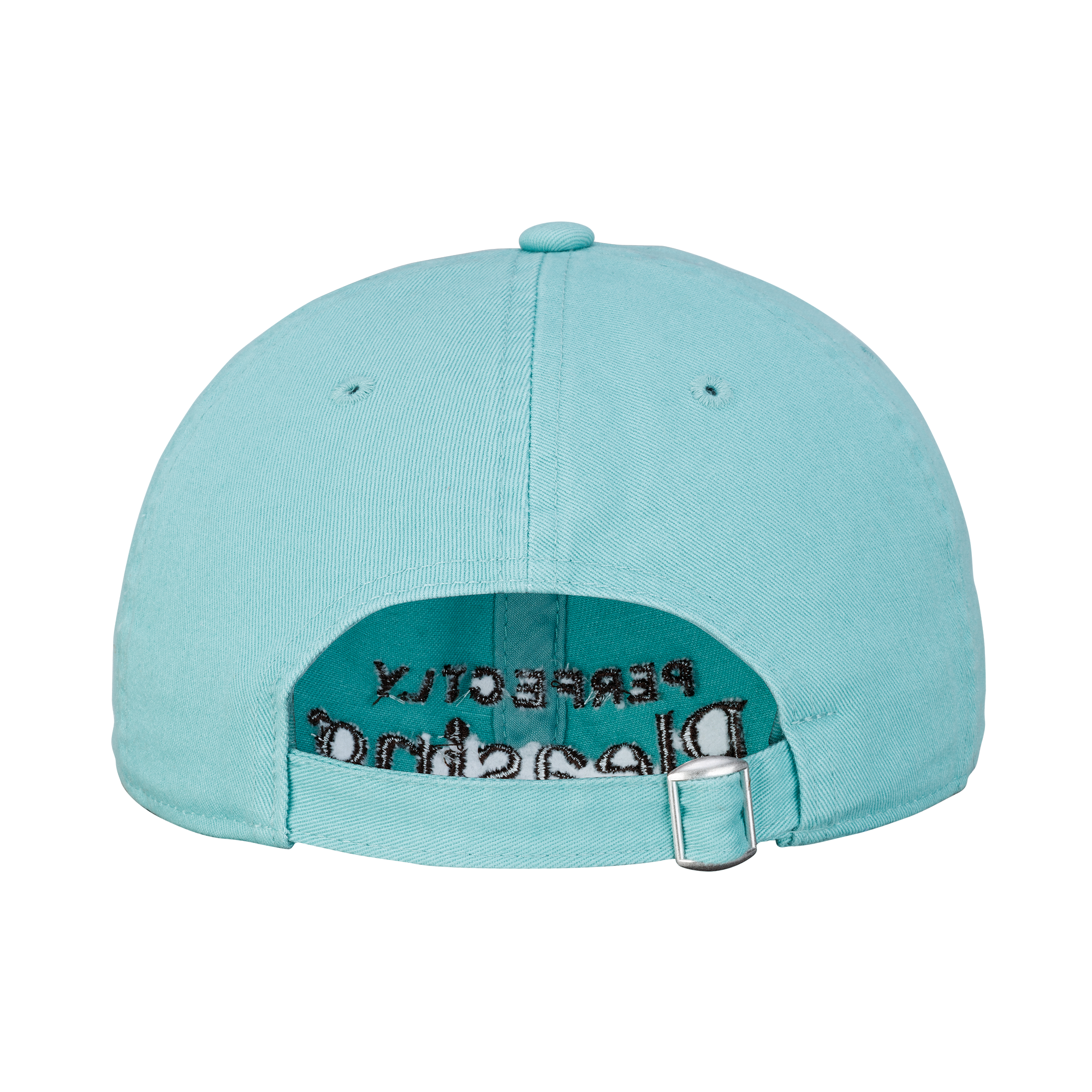 The Pleasing Cap | Mint