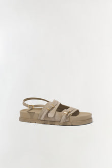 Womens | Carey Suede Sport Sandal | Desert