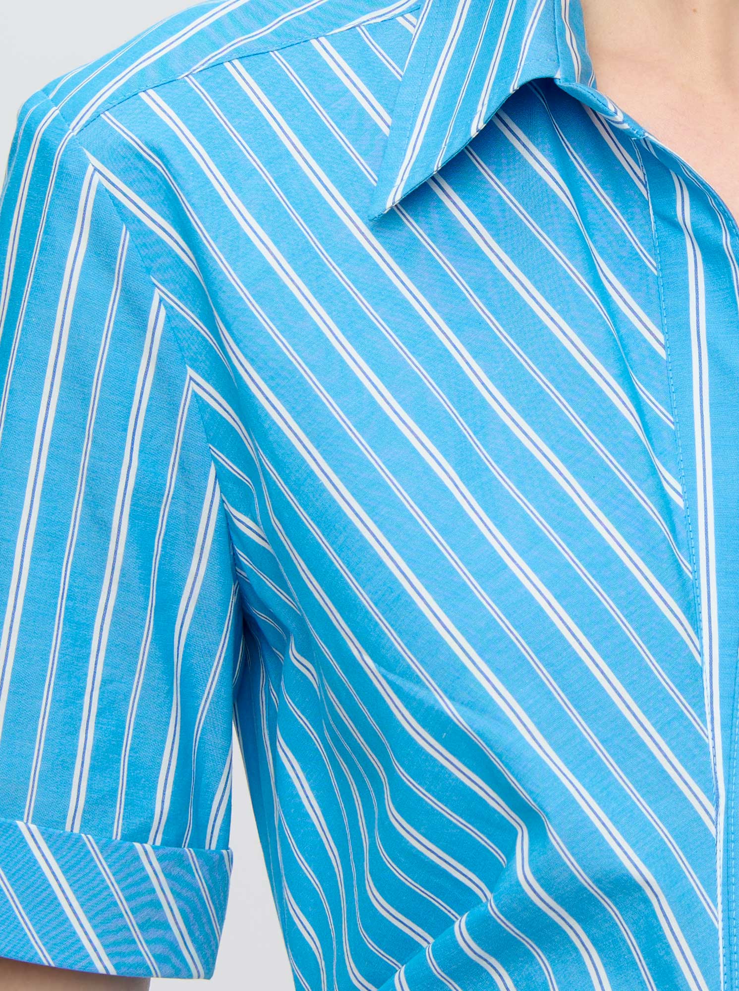 Lou Fitted Shirt Dress | Blue Stripe