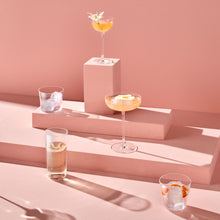 Savage Coupe Glasses | Clear Crystal | Set of 2