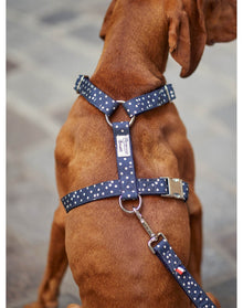 Pet Accessories | Dog Harness | Navy