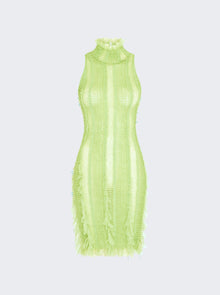 Women | Roberta Einer | Angel Sheer Mini Dress | Green