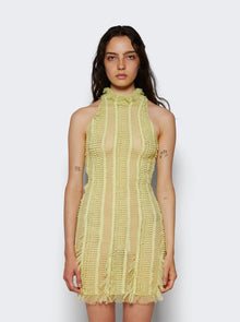 Women | Roberta Einer | Angel Sheer Mini Dress | Green