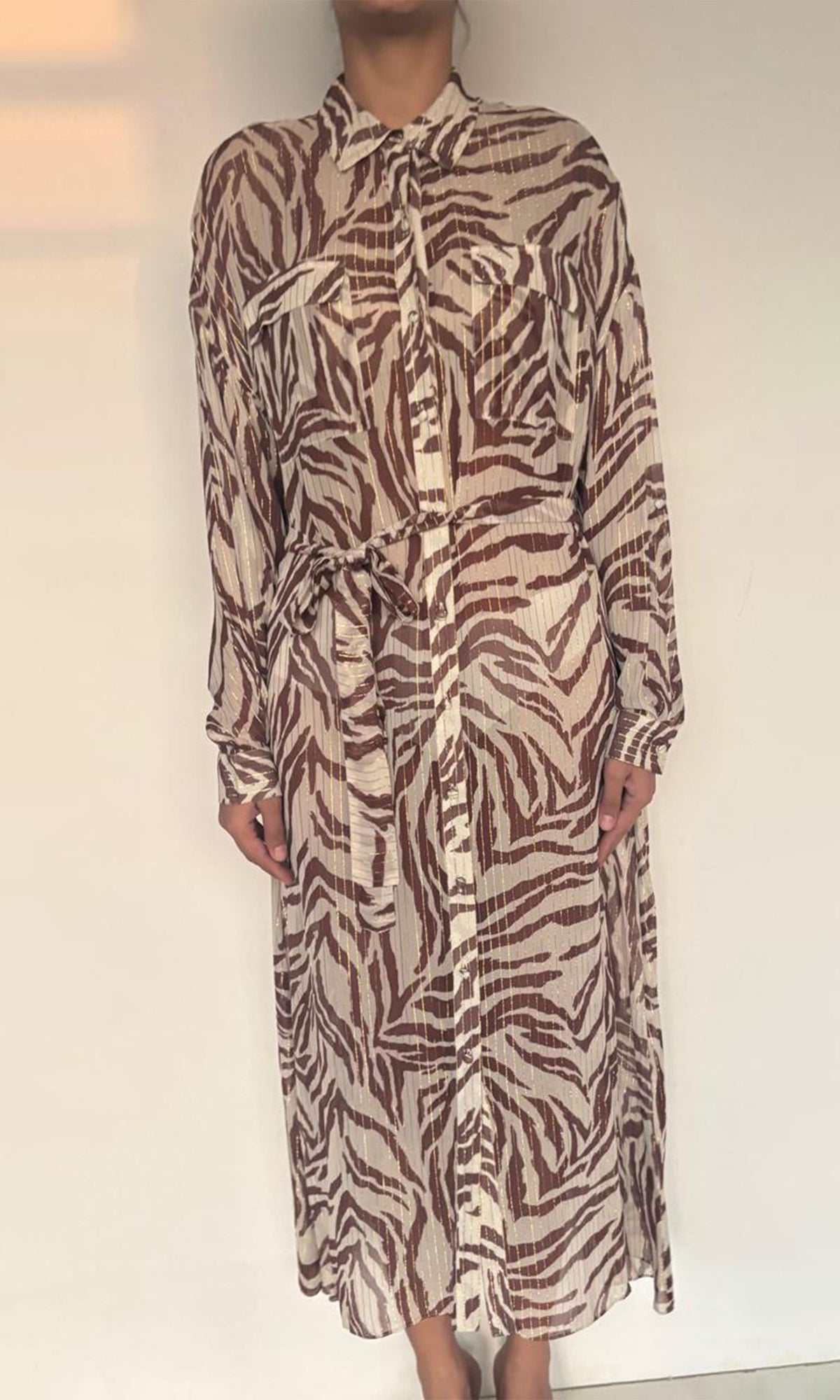 Womens | Fauve Viscose Georgette Lurex Long Dress | Brown