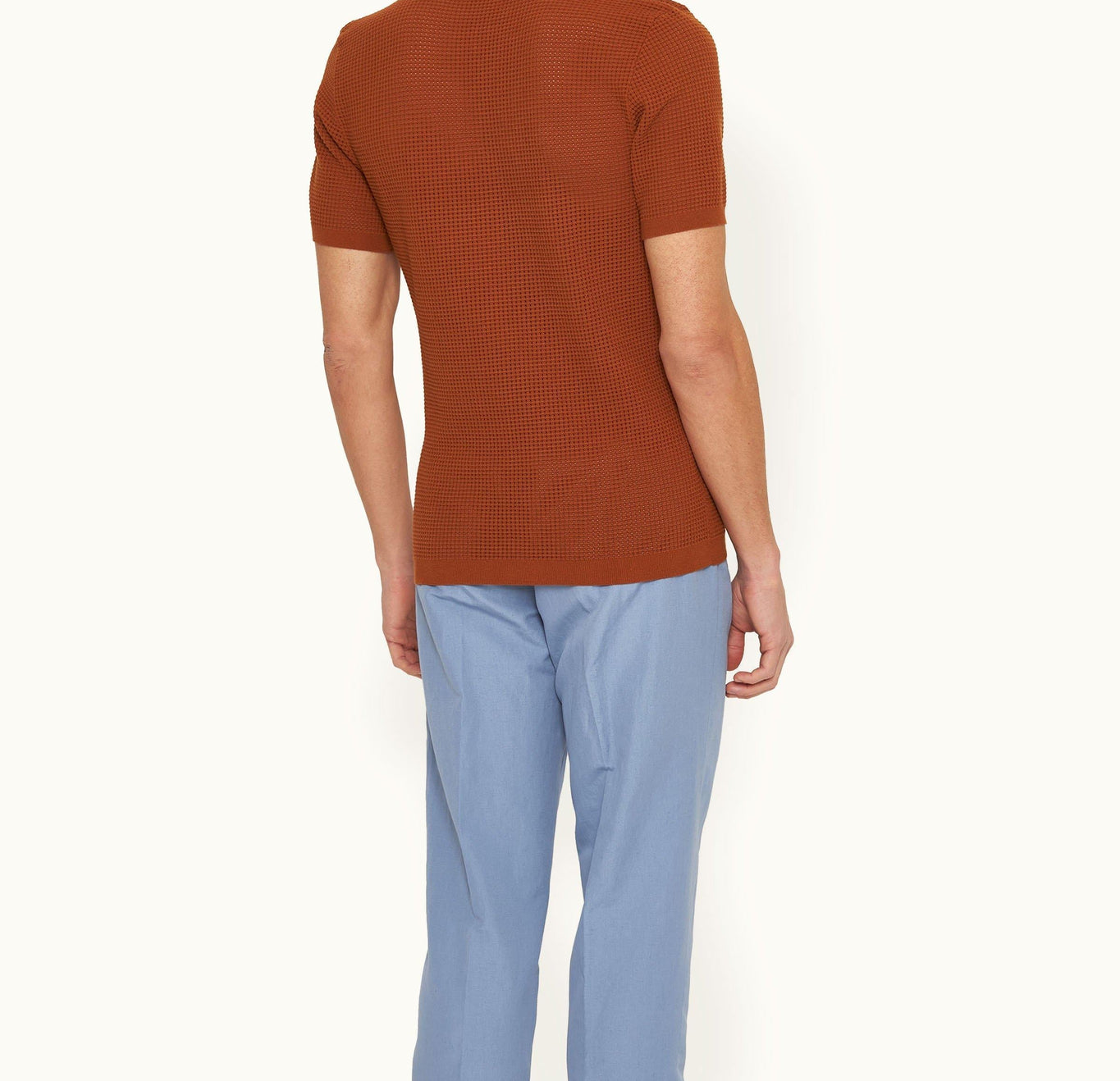Roddy Tailored Fit Waffle Mesh Stitch Polo Shirt Knitted | Cinnamon Coffee