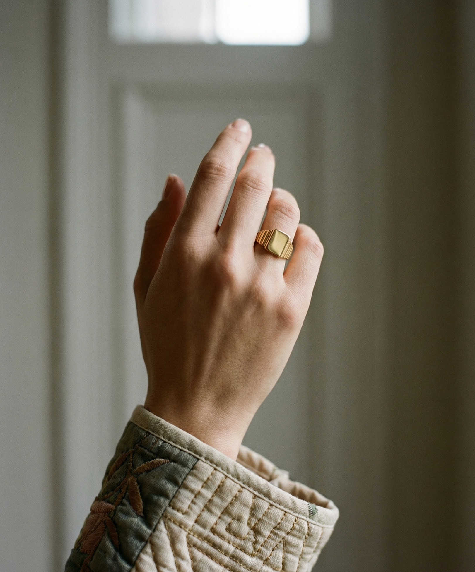 The Rouge Signet Ring | 18Kt Gold Vermeil