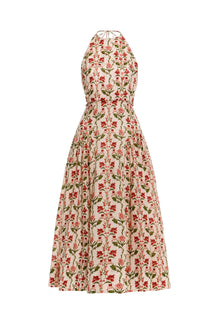 Secreto-Balsa-Canna-Midi-Dress-19901-6-HOVER.jpg