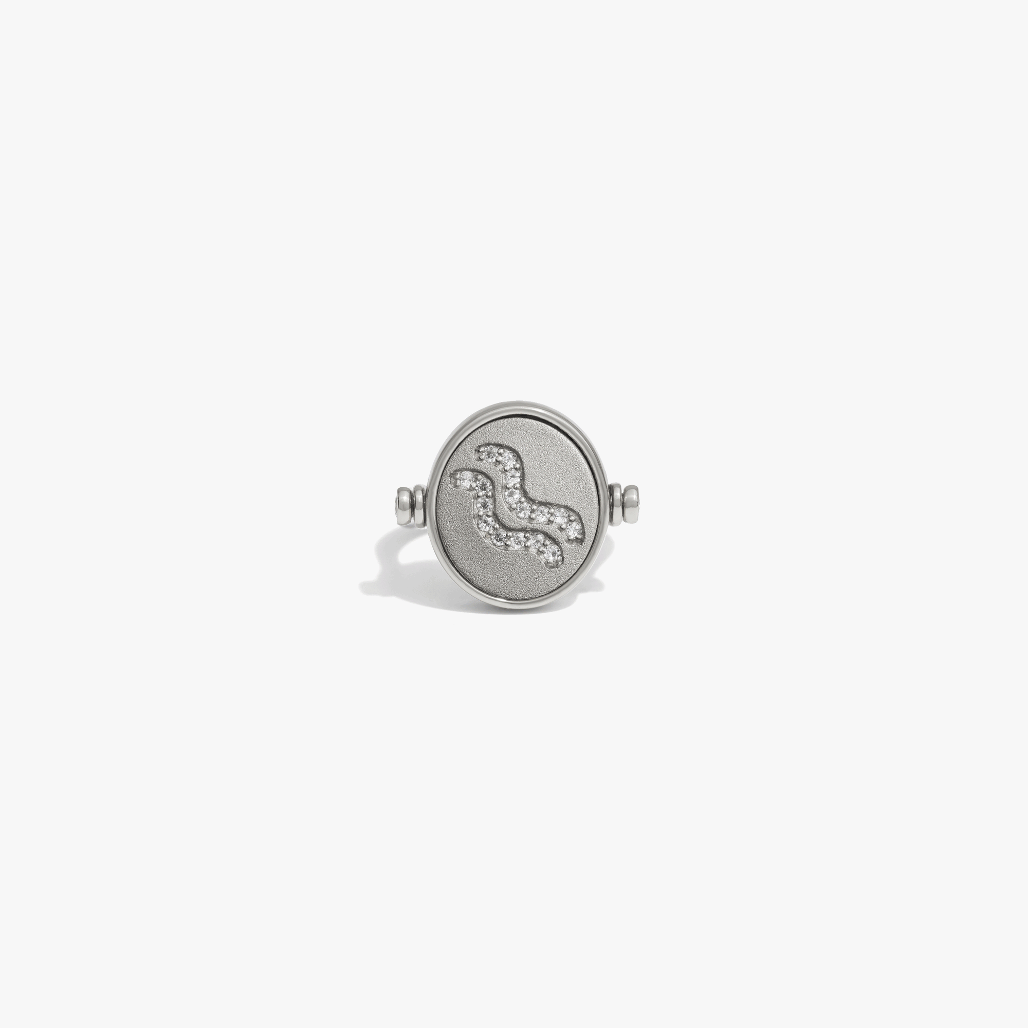 Awe Inspired  Rings Zodiac Element Flip Ring