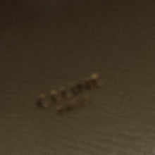 Celine | Pre-Owned Pico Grained Calfskin Belt Bag | Brown/Beige