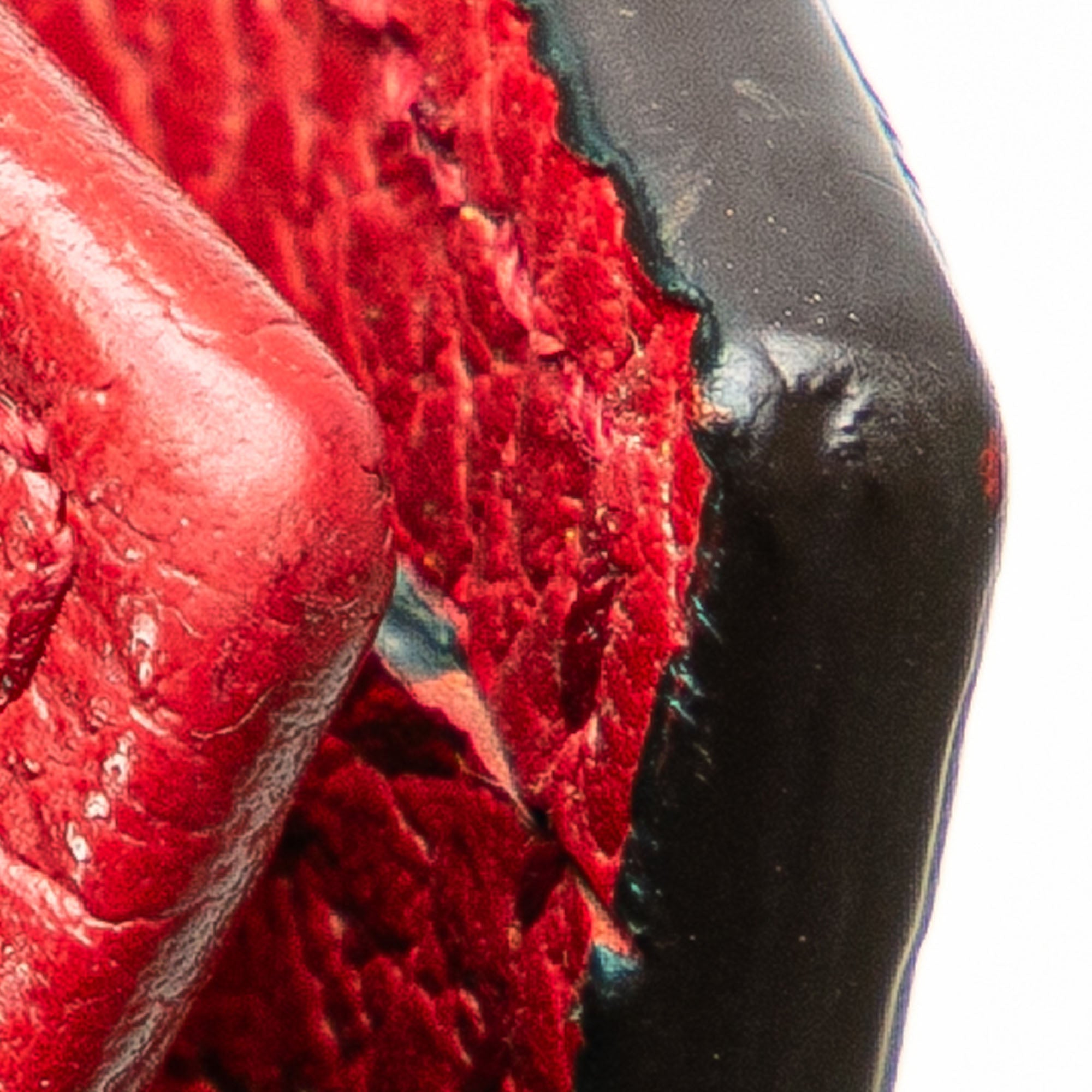 Gucci | Pre-Owned Leather Interlocking G Dollar Wallet on Chain | Red