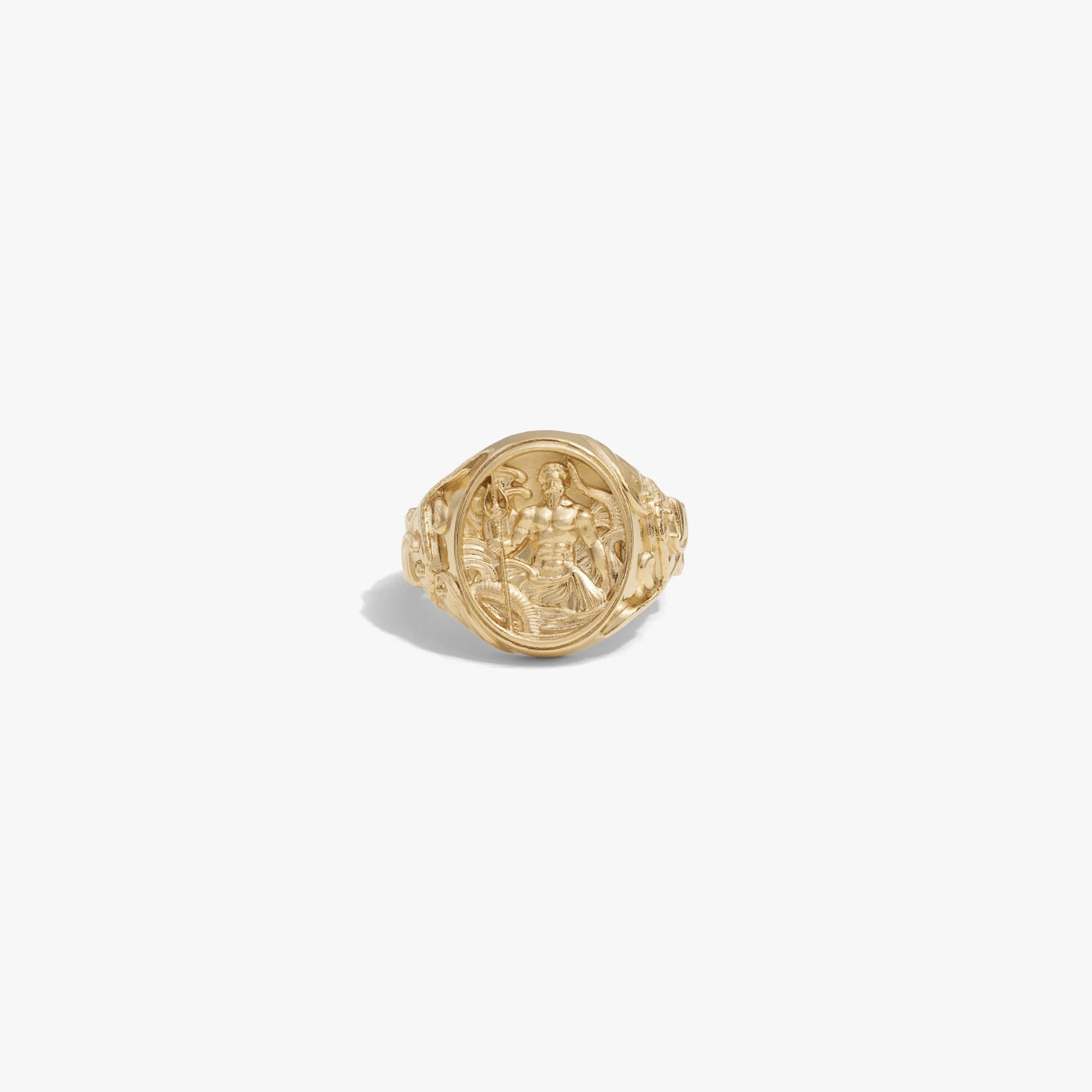 Awe Inspired Rings 14K Yellow Gold Vermeil / 9 Poseidon Ring