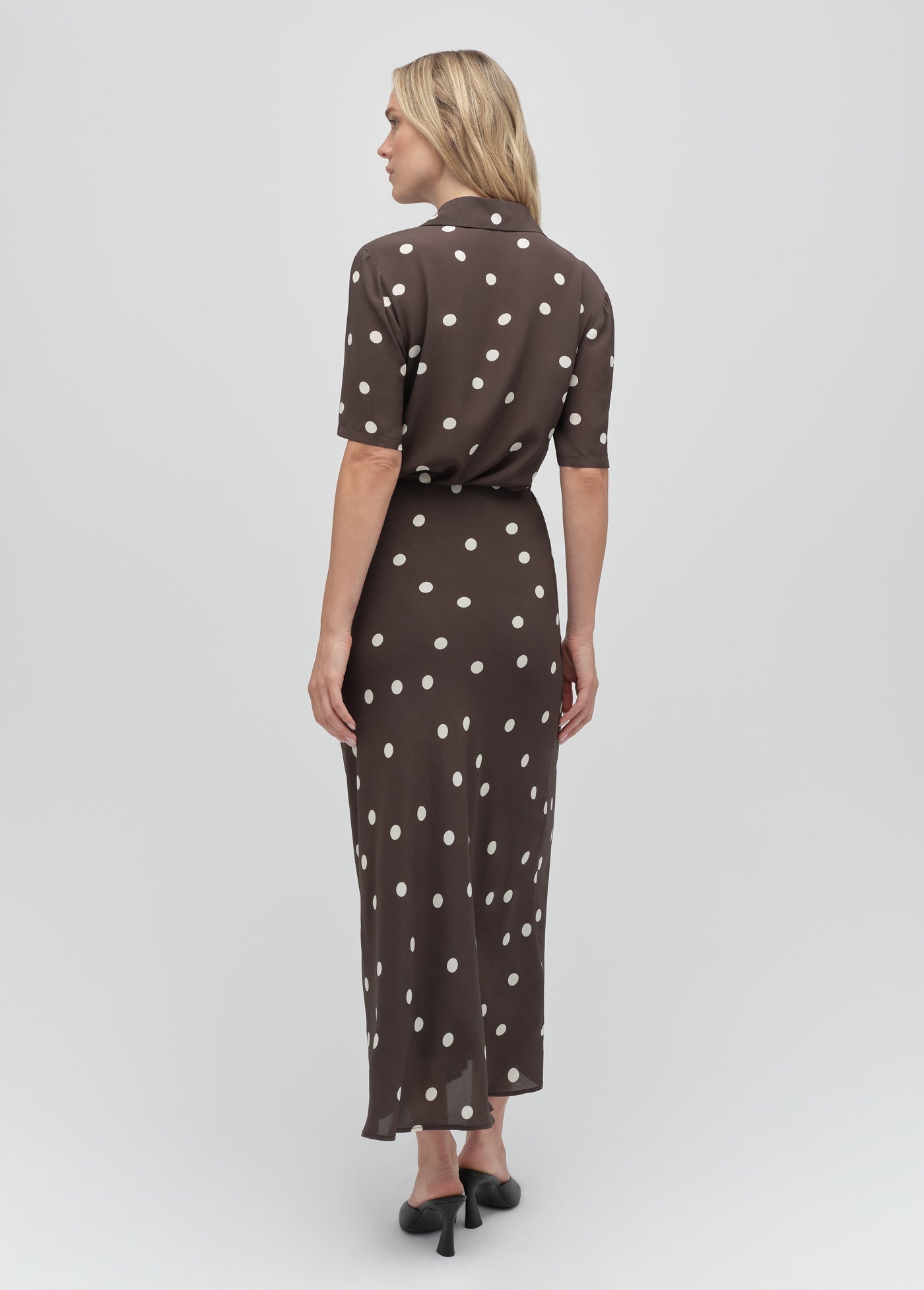 espresso polka dot
