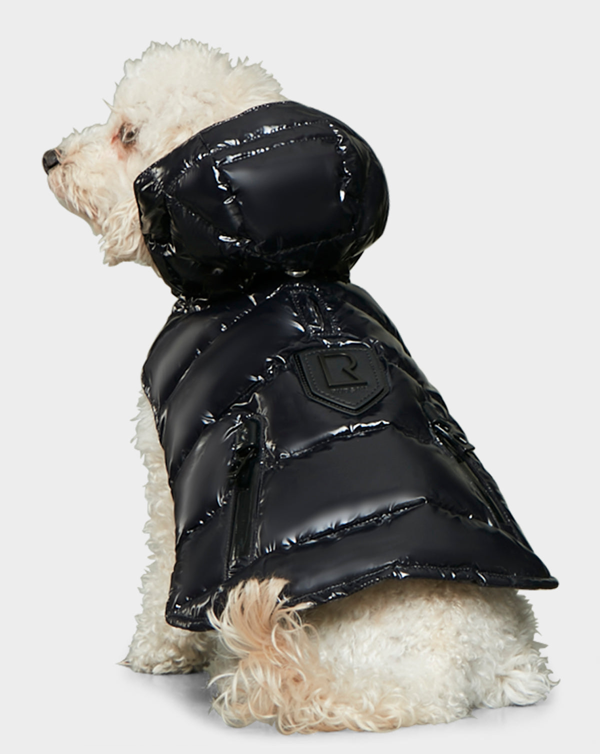 A dog wearing the Rudsak BUDDIE - 9122520 BLACK puffer coat.