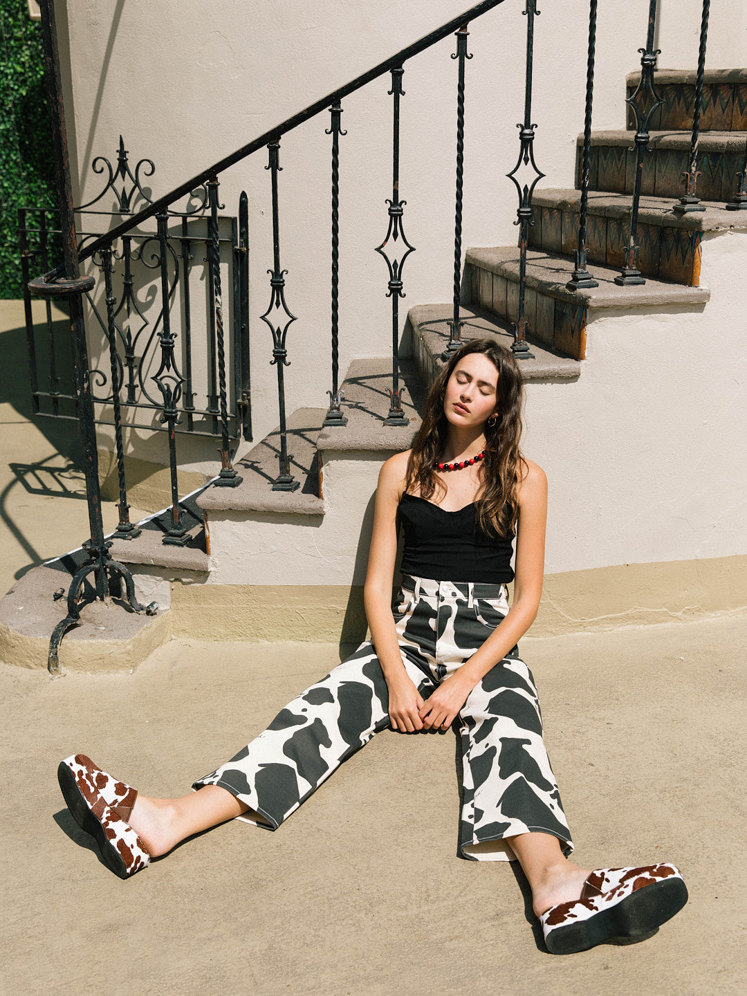 Robyn Jean | Cow