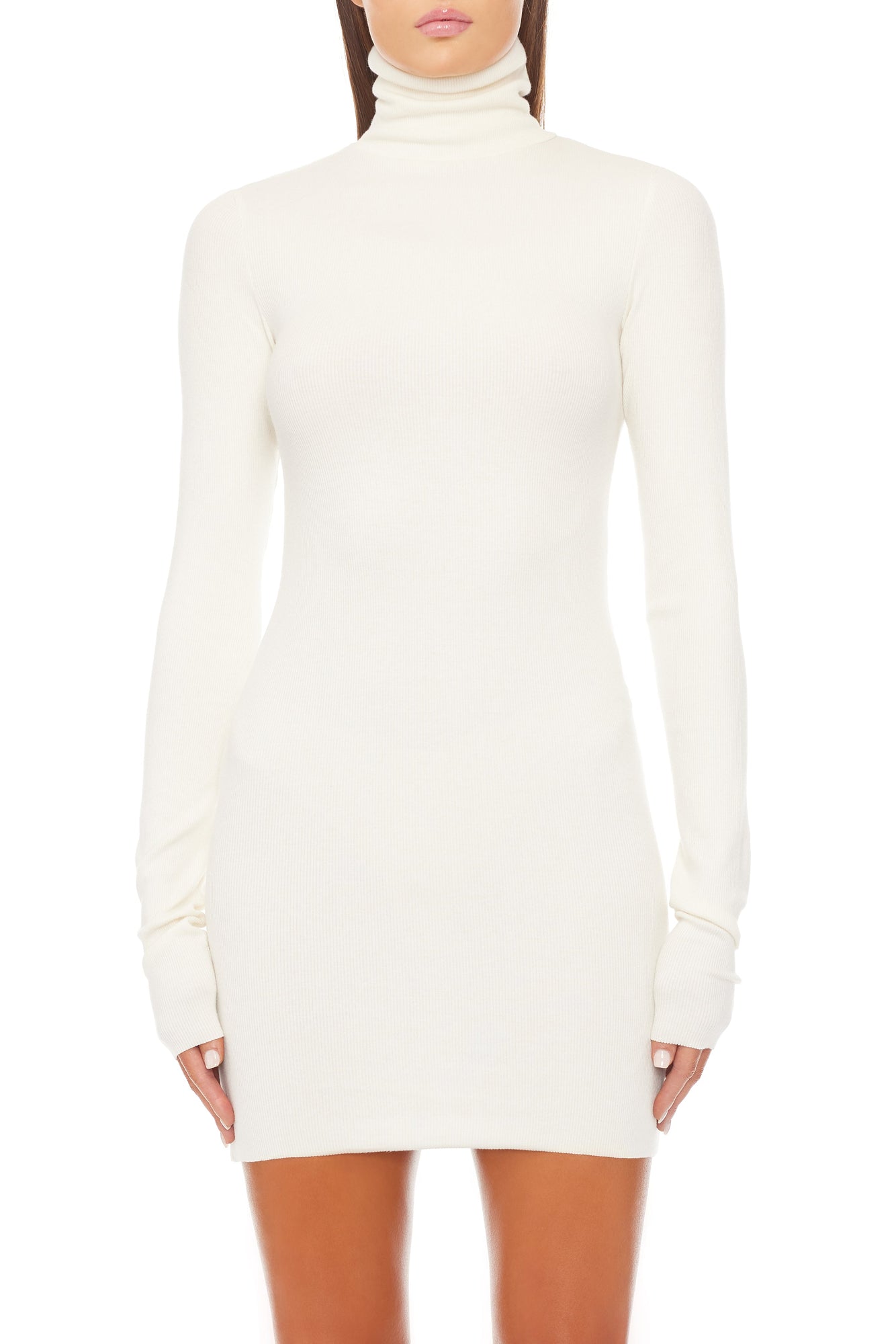 LONG SLEEVE TURTLENECK MINI DRESS - ETERNE