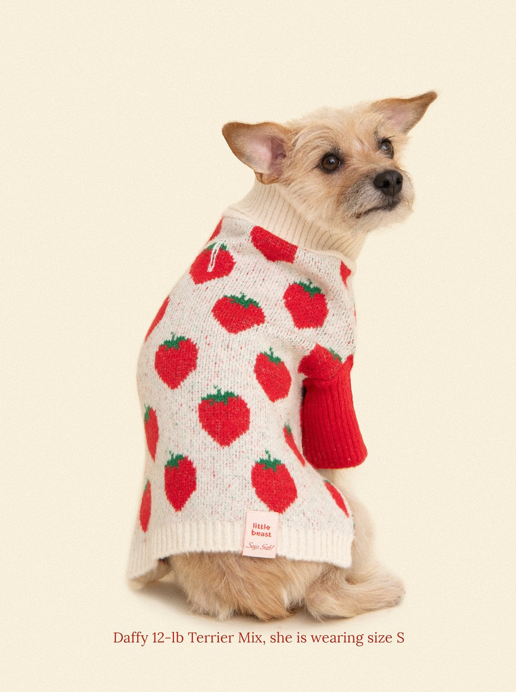 Meet the Parents Sweater | Strawberries