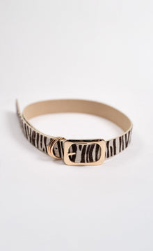Vince Belt | Zebra